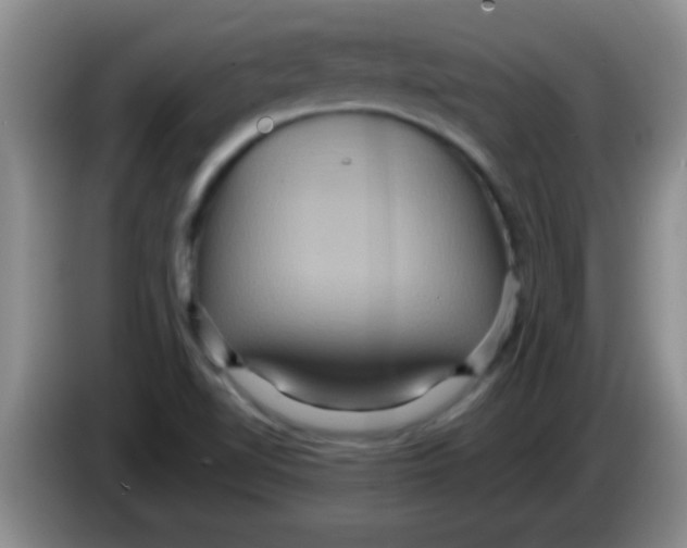 X0000084021510200703091937