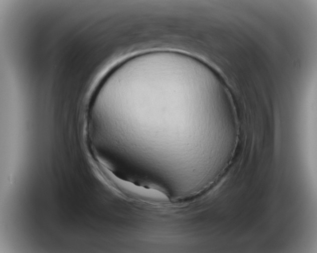 X0000084021511200703091937