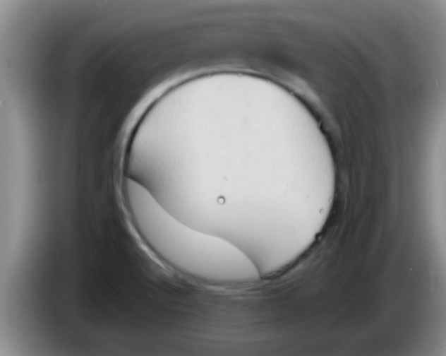 X0000084021512200703091937