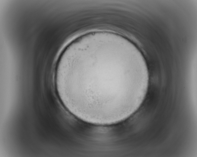 X0000084021514200703091937