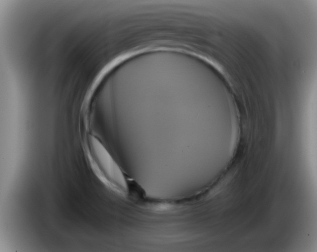 X0000084021515200703091937