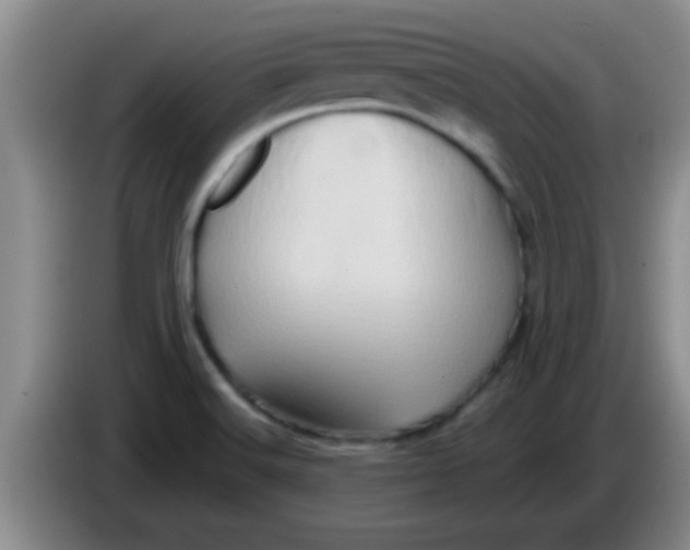 X0000084021516200703091937