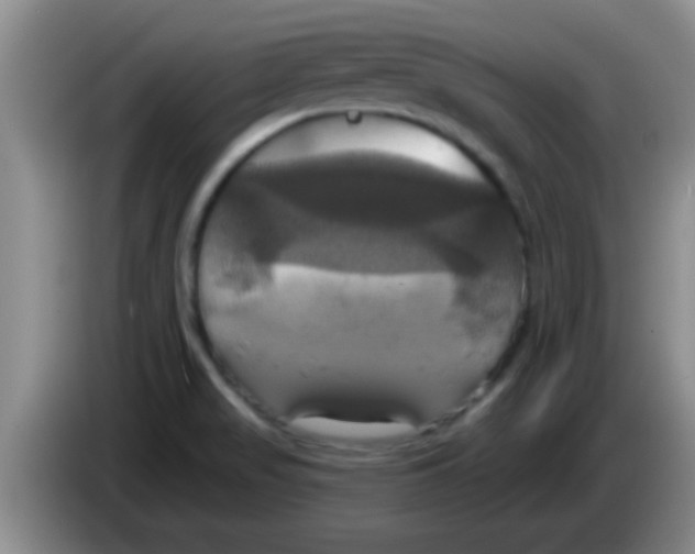 X0000084021517200703091937