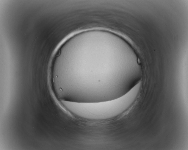 X0000084021518200703091937