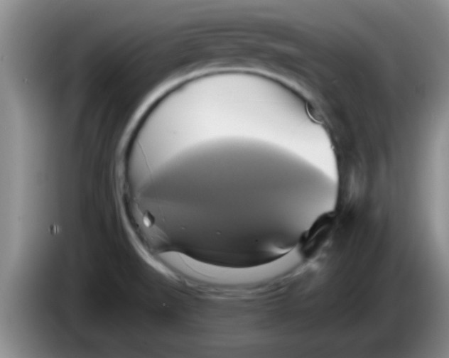 X0000084021519200703091937