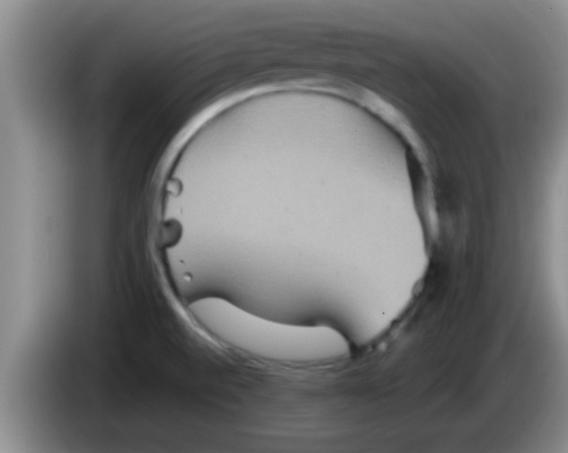 X0000084021520200703091937