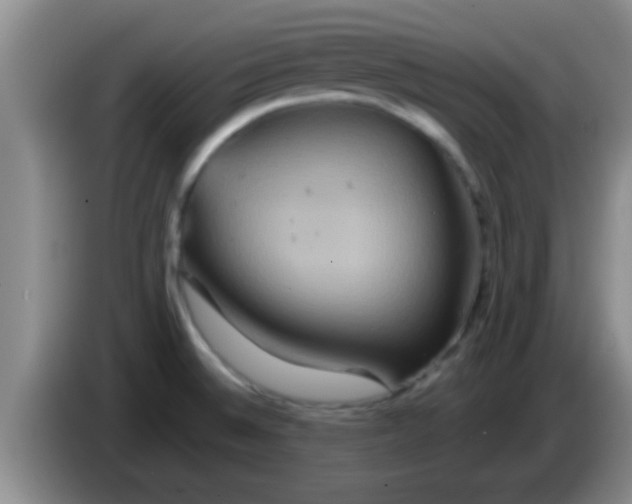 X0000084021524200703091937