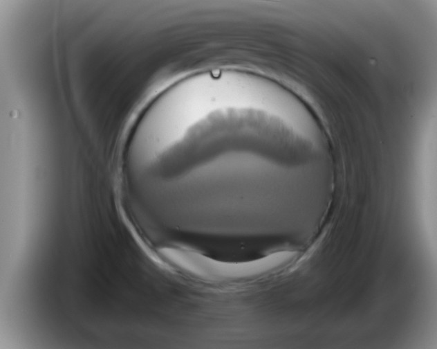 X0000084021525200703091937