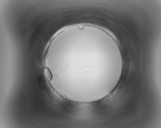 X0000084021526200703091937