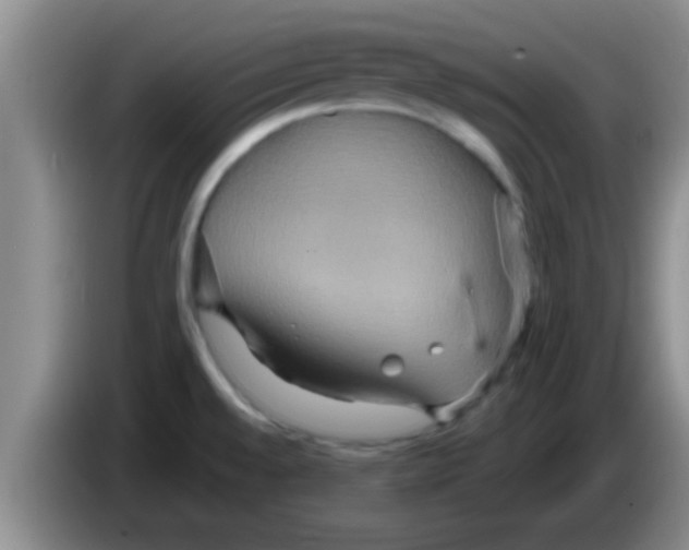 X0000084021528200703091937