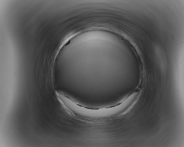 X0000084021529200703091937