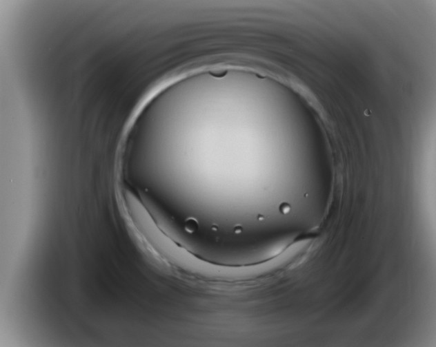 X0000084021530200703091937