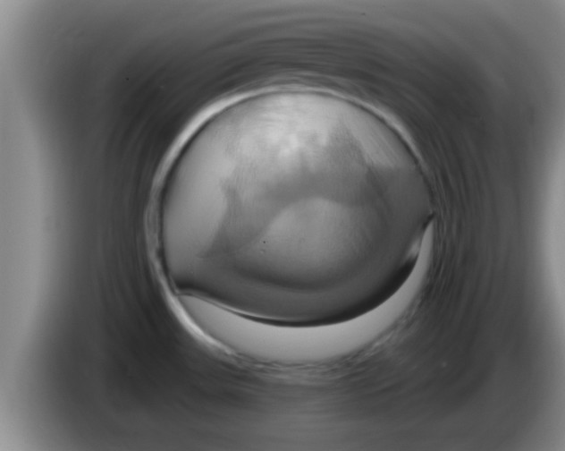 X0000084021531200703091937