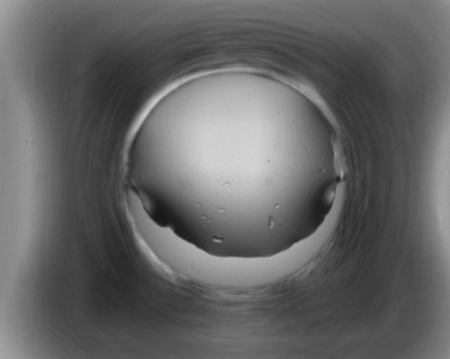 X0000084021532200703091937