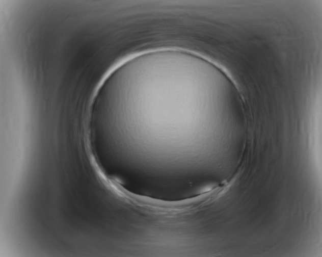 X0000084021534200703091937