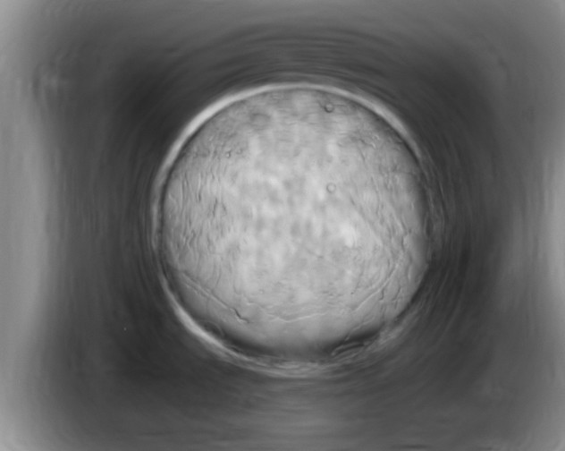 X0000084021535200703091937