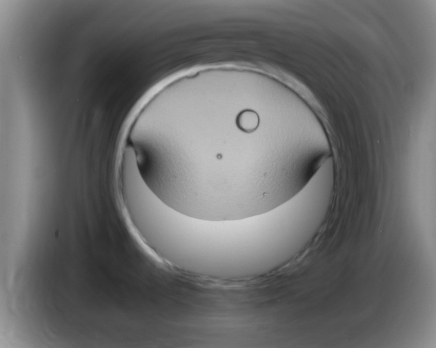 X0000084021536200703091937