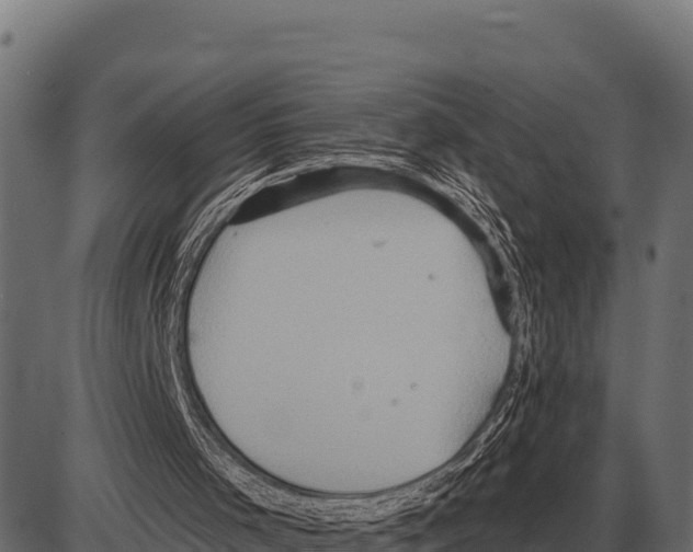 X0000084020001200703161751