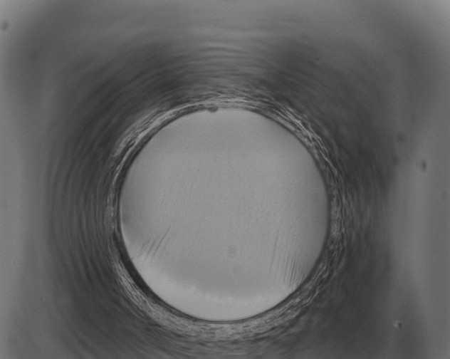 X0000084020002200703161751