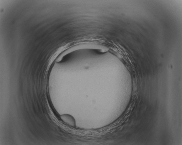 X0000084020003200703161751