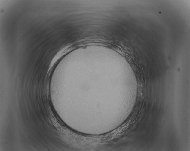 X0000084020004200703161751