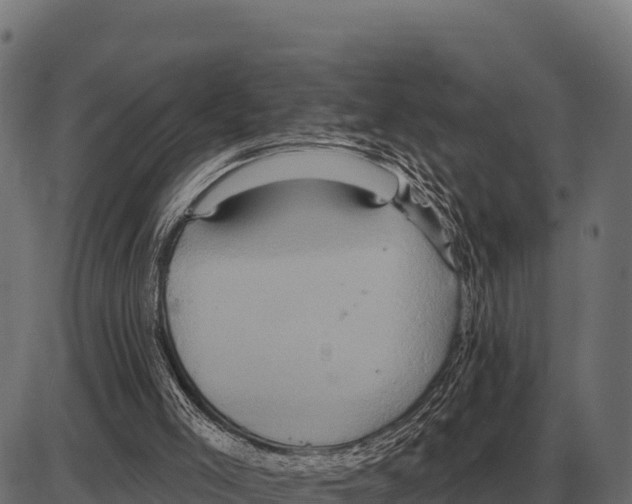 X0000084020005200703161751