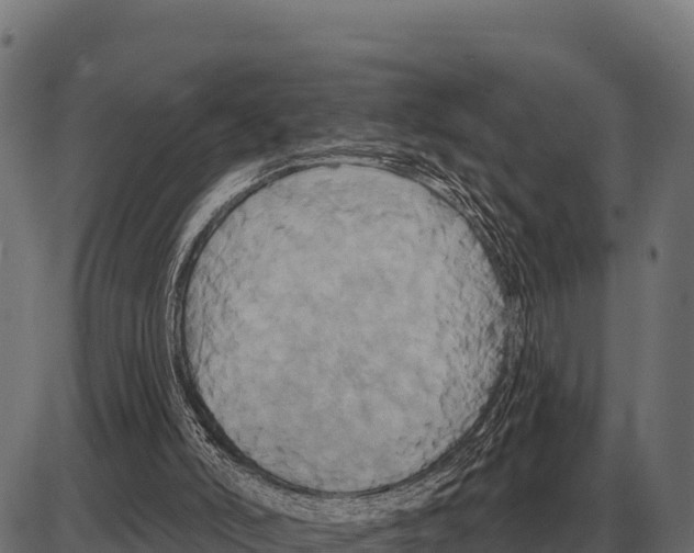 X0000084020006200703161751