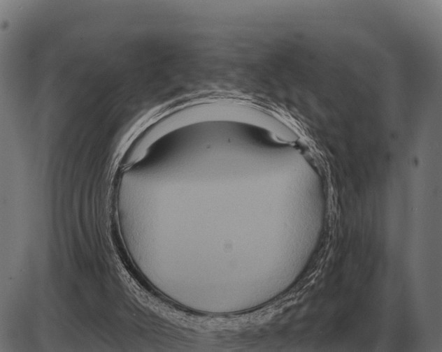 X0000084020007200703161751