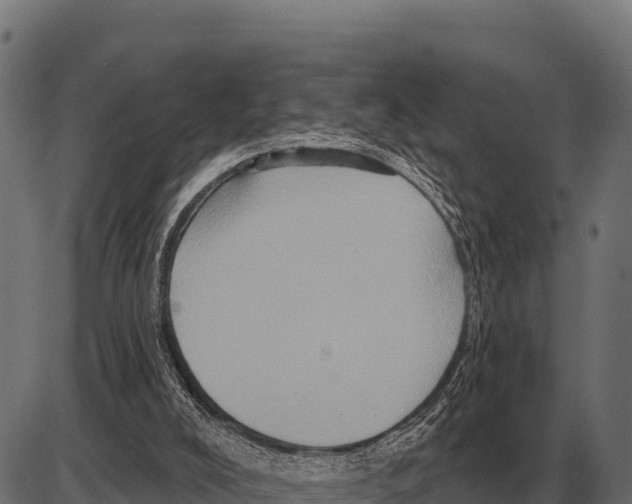 X0000084020008200703161751