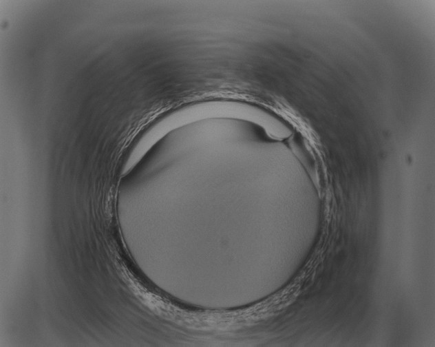 X0000084020009200703161751