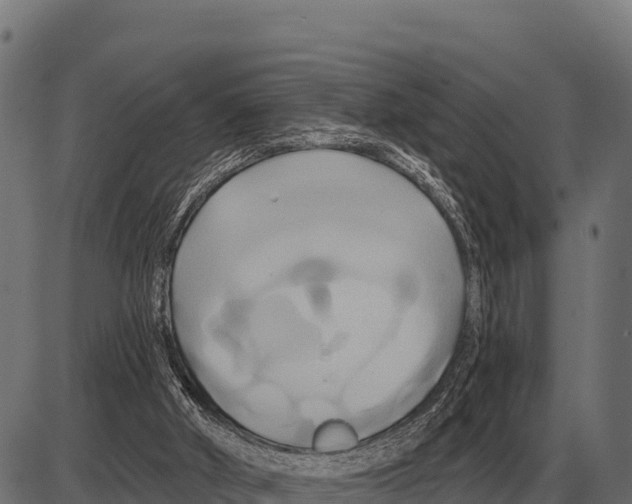 X0000084020010200703161751