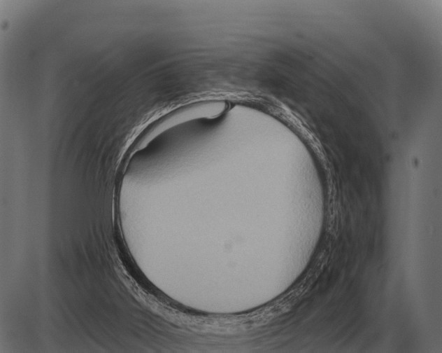 X0000084020011200703161751