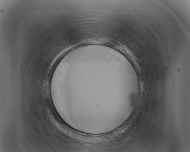 X0000084020012200703161751