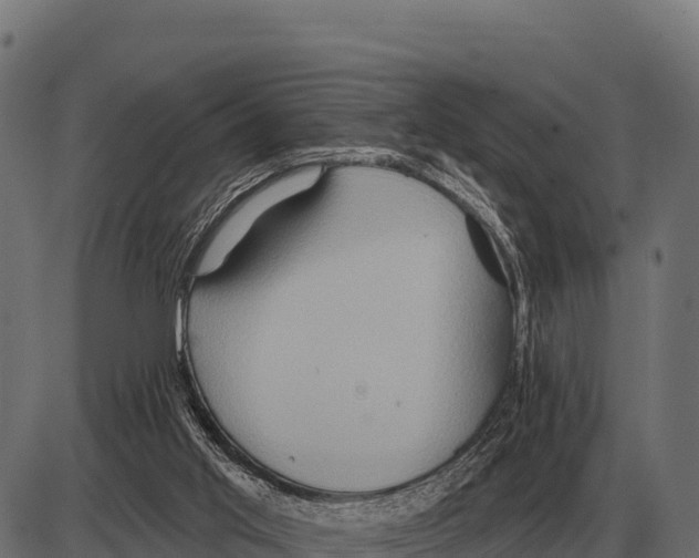 X0000084020013200703161751