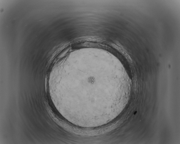 X0000084020014200703161751