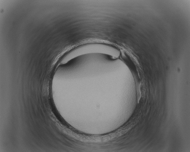 X0000084020015200703161751