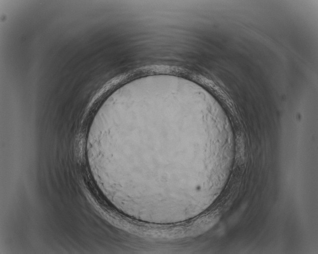 X0000084020016200703161751