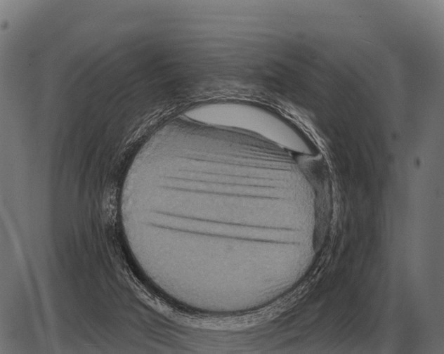 X0000084020017200703161751