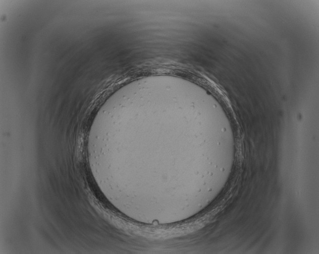 X0000084020018200703161751