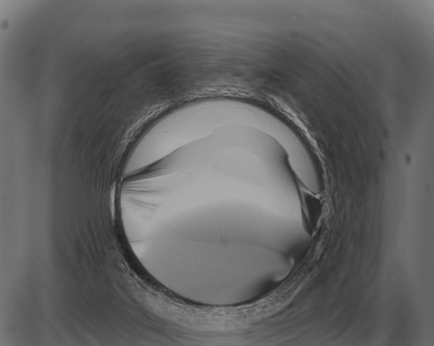 X0000084020019200703161751