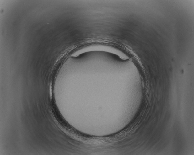 X0000084020020200703161751