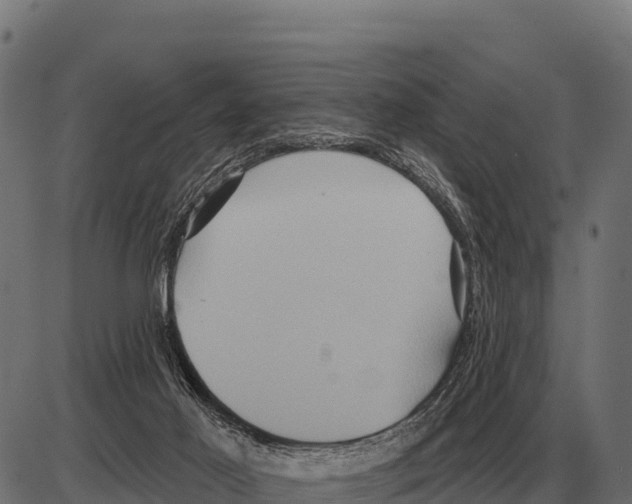 X0000084020021200703161751