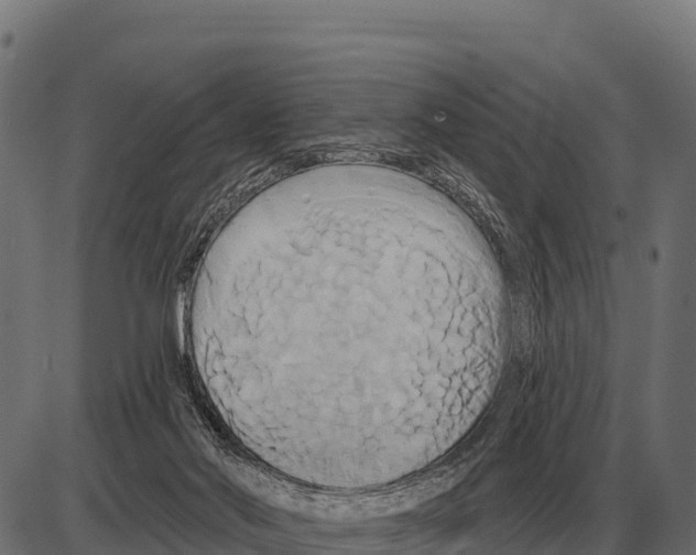 X0000084020022200703161751