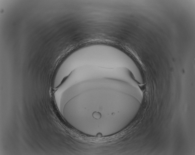 X0000084020023200703161751