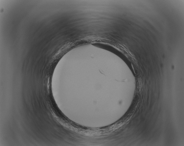 X0000084020024200703161751