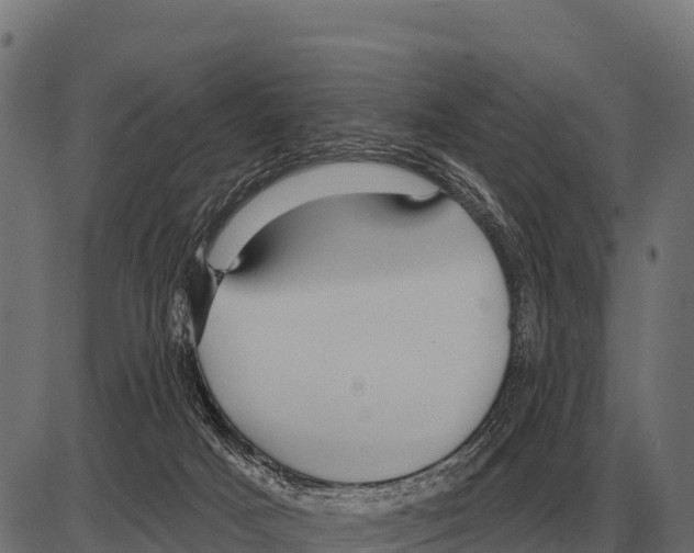 X0000084020025200703161751