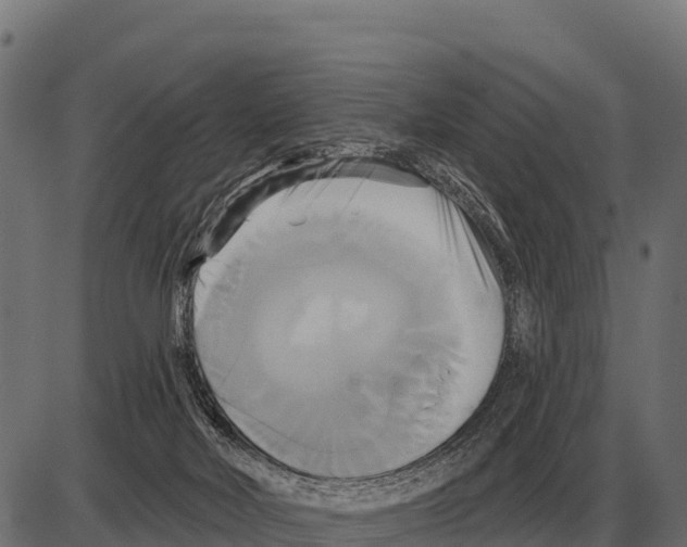 X0000084020026200703161751