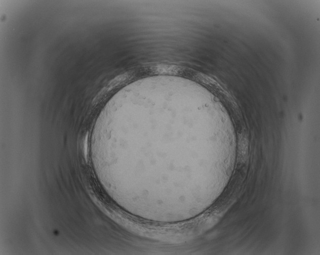 X0000084020028200703161751