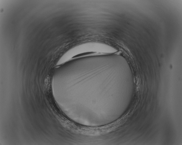 X0000084020029200703161751