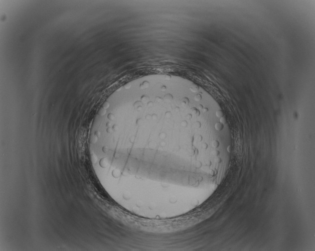 X0000084020030200703161751